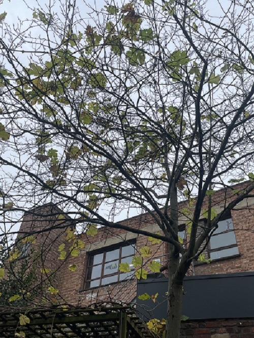 cv valkerij - buren uit de vaartkom